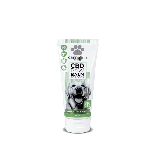 CBD Paw Balm til hunde